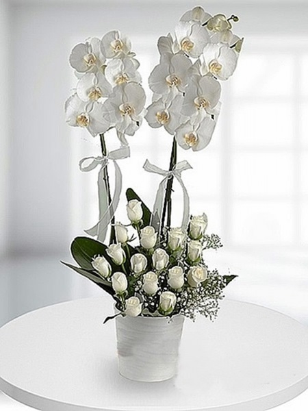Orkide 2 dal ve 10 adet beyaz gül
