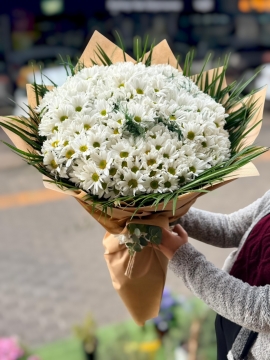 Beyaz Papatya Buketi