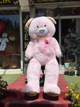 Dev Boy Pembe Peluş Ayı