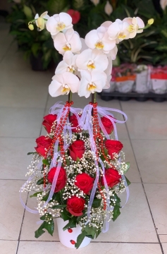 2 köklü Orkide & Gül Aranjmani